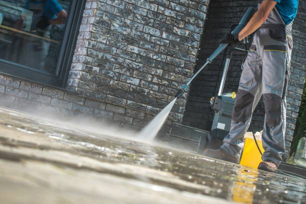 Best Pre-Holiday Cleaning  in Monticello, MN